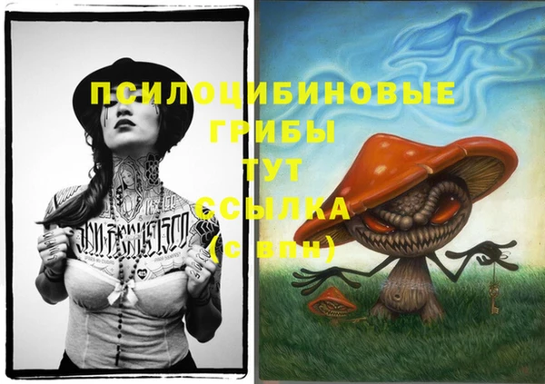 трава Пересвет