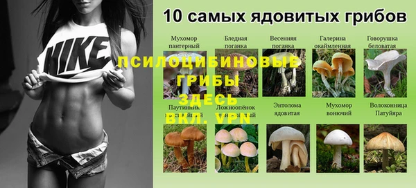 трава Пересвет
