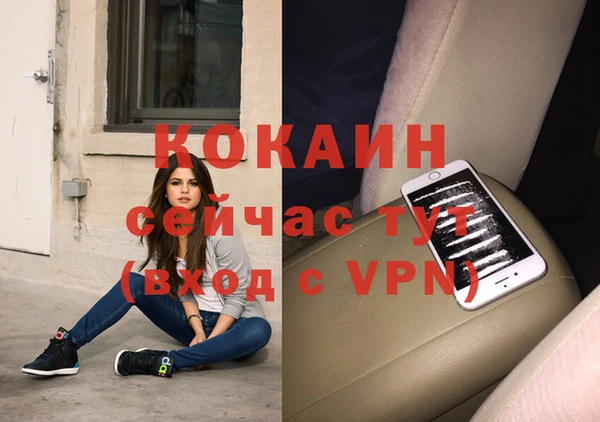 дурь Пестово