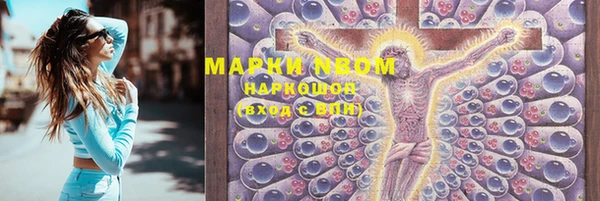 хмурый Видное