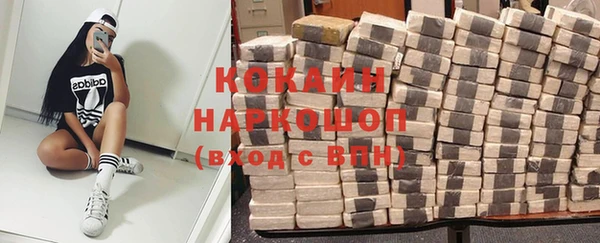 дурь Пестово