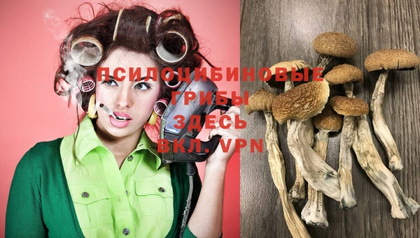 дурь Пестово