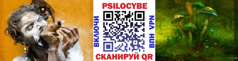 Галлюциногенные грибы Psilocybe  Борзя 