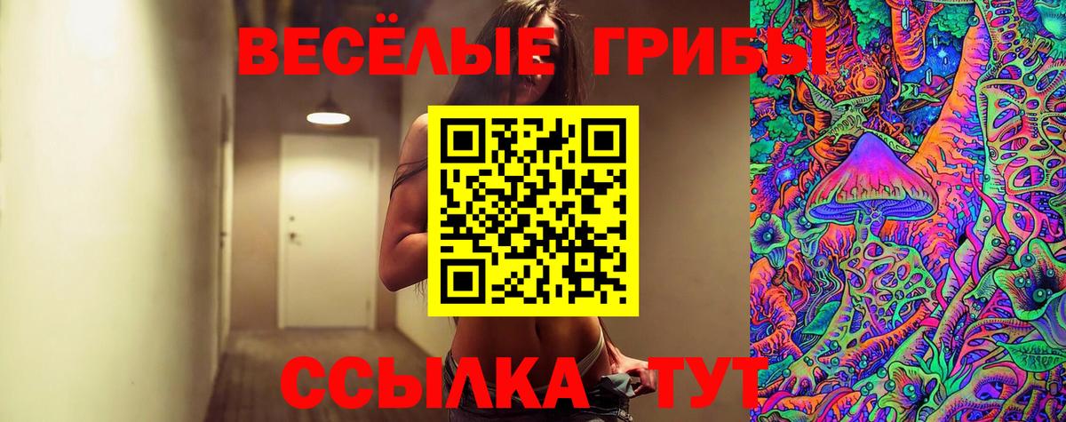 Галлюциногенные грибы Cubensis  Борзя 