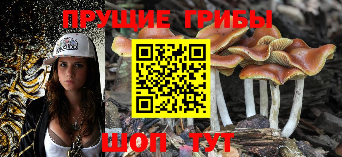 Борзя  Галлюциногенные грибы Magic Shrooms  Вход с VPN 