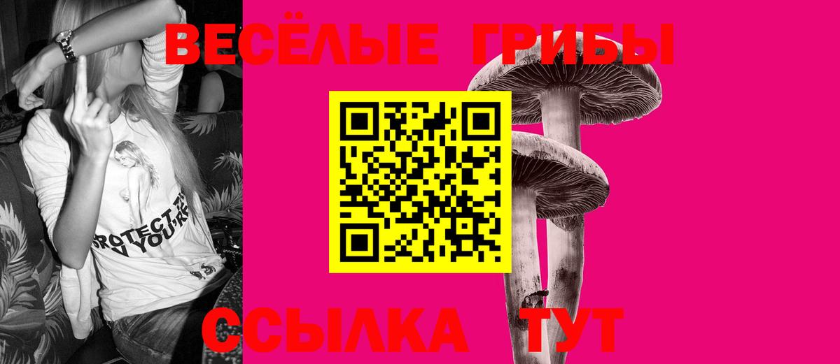 Галлюциногенные грибы MAGIC MUSHROOMS Борзя